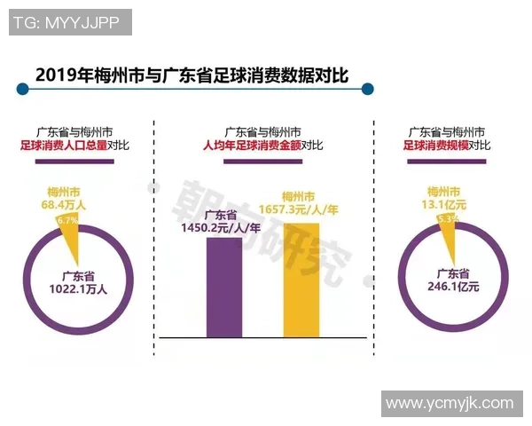 中国注册足球人口的现状与发展趋势分析及未来展望