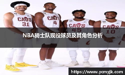 NBA骑士队现役球员及其角色分析